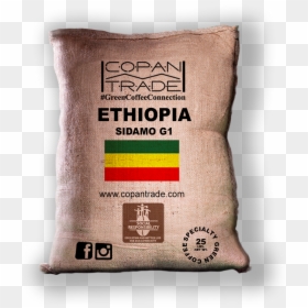 Ethiopia Sidamo Washed - Coffee Bean, HD Png Download - green coffee bean png