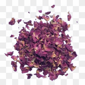 Rose Petals Png Images, Transparent Png - rose petals png images