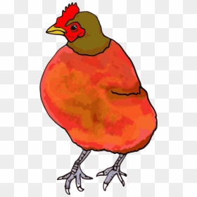 Poultry,artwork,rooster - Pink Chicken Png, Transparent Png - hen clipart png