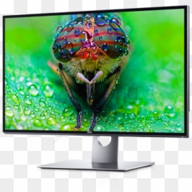 Free Png Dell Computer Monitor Png Png Image With Transparent - Dell Ultrasharp Up3218k, Png Download - dell desktop png