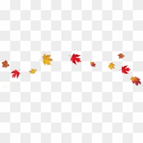 Fall Leaf Border Transparent, HD Png Download - flying leaf png
