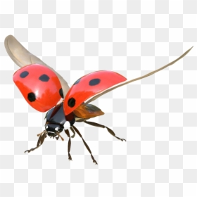 Transparent Flying Bug, HD Png Download - flying leaf png