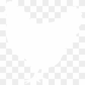 Rooster, HD Png Download - broiler png