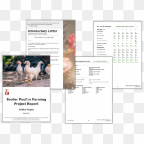 Broiler Farming Project Report Pdf - Chicken, HD Png Download - broiler png