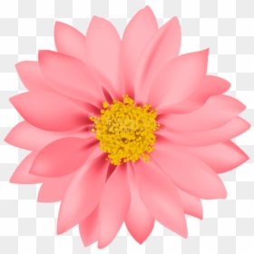 Flower Png Images - Flower Png Transparent Background, Png Download - png flower bokeh