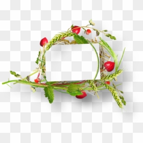 Ramka Png Palmy Wielkanocne, Transparent Png - png flower bokeh
