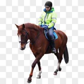 Horse Riding - Person Riding Horse Png, Transparent Png - horse riding png