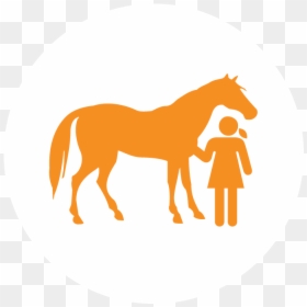 Transparent Horse Icon Png - Small Horse Silhouette, Png Download - small girl png