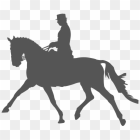 Horse Equestrianism Dressage Silhouette Clip Art - Horse Silhouette, HD Png Download - horse riding png