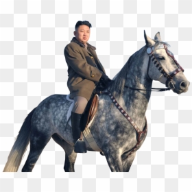 Person Sitting On Horse, HD Png Download - horse riding png