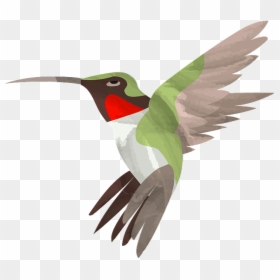 Ruby-throated Hummingbird, HD Png Download - birds .png