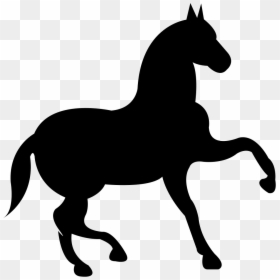 Dancing Black Horse With One Lift Foot Comments - Horse Svg File, HD Png Download - horse riding png