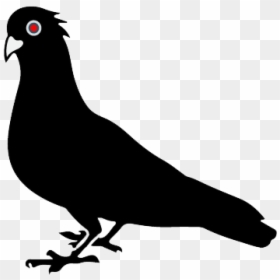 Illustration, HD Png Download - birds .png