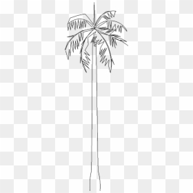 Tree 5743d View"  Class="mw 100 Mh 100 Pol Align Vertical - Desert Palm, HD Png Download - 3d coconut tree png