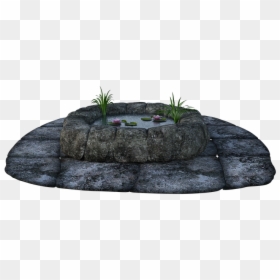 Stone, Pond, Grass, Water, Lily Pads, Fish, Wishing - Outcrop, HD Png Download - water grass png