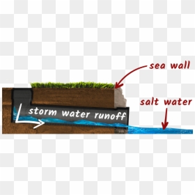 Grass , Png Download - Grass, Transparent Png - water grass png