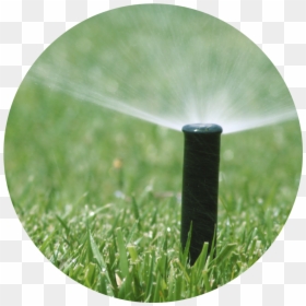 Irrigation Head - Smart Irrigation, HD Png Download - water grass png