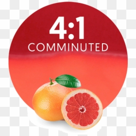 Tangerine, HD Png Download - fresh fruits png
