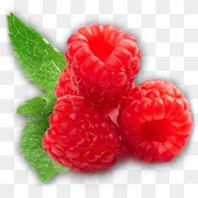 Raspberries - Raspberry Png, Transparent Png - fresh fruits png