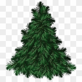 Christmas Free Download - Transparent Christmas Tree Graphic, HD Png Download - 3d trees png