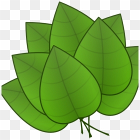 Jungle Leaves Clipart Jungle Leaves Clipart Free Jungle - Parts Of The Plants Leaf, HD Png Download - leaves.png