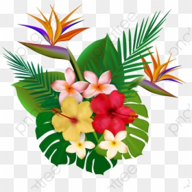 Tropical Plants, Plants Clipart, Flowers Png Transparent - Tropical Hawaii Plants Png, Png Download - floers png