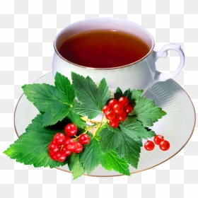 Harbal Tea With Cup - Tea Png, Transparent Png - tea png image