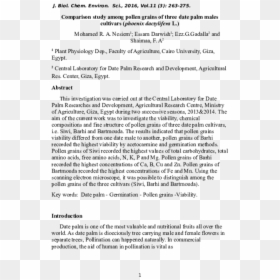 Document, HD Png Download - date tree png