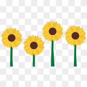 April Showers Bring May Flowers - May Flowers Clip Art, HD Png Download - white sunflower png