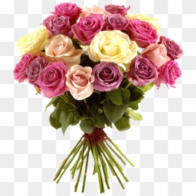 Bouque Png Pink And White Rose - Pink Roses Avas Flowers, Transparent Png - rose flower bucket png