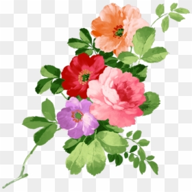 Flowers For Mrs Gof - Free Hand Flower Painting, HD Png Download - rose flower bucket png