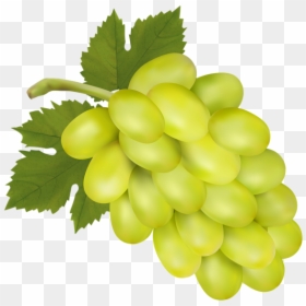 White Grape Png Clip Art Image - Green Grapes Clip Art, Transparent Png - grapes png image