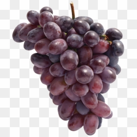 Transparent Berries Png - Grape, Png Download - grapes png image