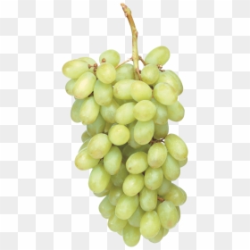 Green Grapes Png Image - Png Green Grapes, Transparent Png - grapes png image