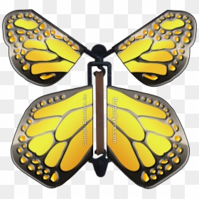 Flying Butterfly In Card, HD Png Download - flying butterfly png images