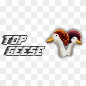Transparent Geese Png - Johnny Harrington, Png Download - beard png image