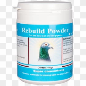 Rebuild Powder - Racing Pigeon, HD Png Download - pigeon fly png