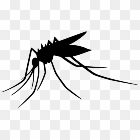 Mosquito Computer Icons Clip Art - Clipart Transparent Background Mosquito, HD Png Download - no mosquito png