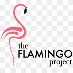 Transparent Flamingo Png - Greater Flamingo, Png Download - color full png