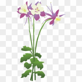 Columbine Flower Trees Png Clipart , Png Download - Columbine Flower Png Transparent, Png Download - treespng