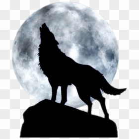 Dog Full Moon T-shirt Black Wolf - Wolf Howling At The Moon Png, Transparent Png - blue wolf png