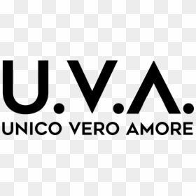 U - V - A - Unico Vero Amore - Department Store, HD Png Download - uva png