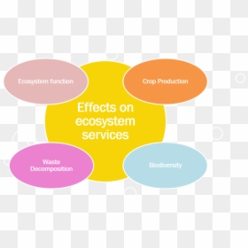 Wp4 - Effects Of Ecosystem Services, HD Png Download - latest png effects