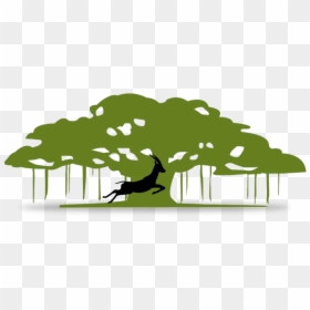 Equirus Capital, HD Png Download - banyan png