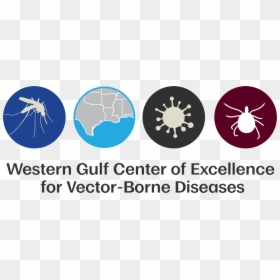 Western Gulf Center Of Excellence For Vector-borne - Funding Vector Borne Disease, HD Png Download - building vectors png