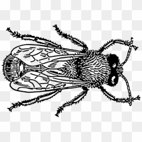 Drone 1 - Bug Draw Png, Transparent Png - drone vector png