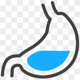 Png Images Stomach Id 21722 Water In Stomach - Stomach Acid Clipart, Transparent Png - water monster png