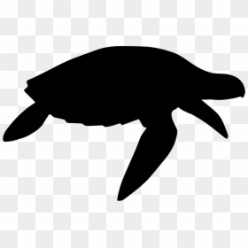 Turtle Silhouette No Background, HD Png Download - turtle icon png