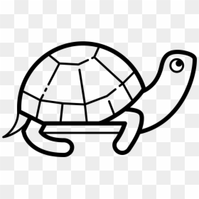 An Icon Of A Turtle Is Animal With A Head And Body - Outline Tennis Racket Clipart, HD Png Download - turtle icon png