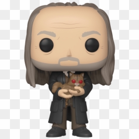 Ny Comic Con Exclusive Pop Funko Argus Filch - Funko Pop Harry Potter Filch, HD Png Download - harry potter characters png